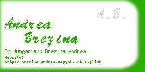 andrea brezina business card